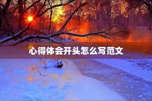 心得体会开头怎么写范文
