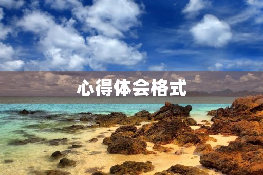 心得体会格式