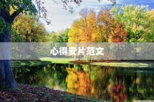 心得安片范文