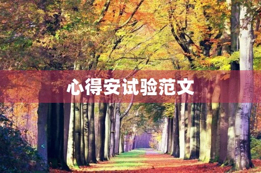 心得安试验范文
