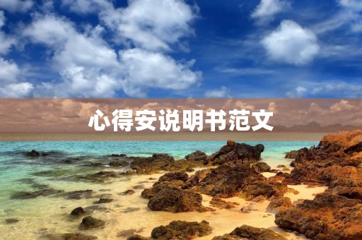 心得安说明书范文