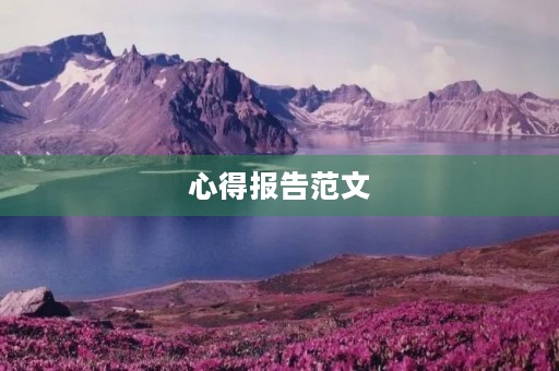 心得报告范文，心得报告怎么写