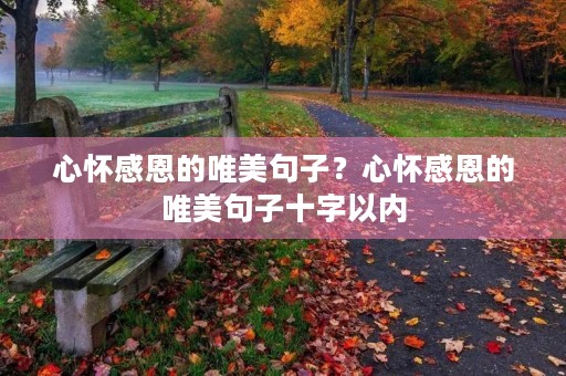 心怀感恩的唯美句子？心怀感恩的唯美句子十字以内