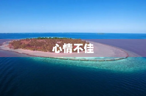 心情不佳，需要倾诉