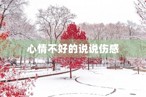 心情不好的说说伤感(心情不好的说说伤感无奈一句话没人在乎)
