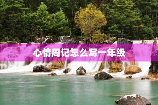 心情周记怎么写一年级