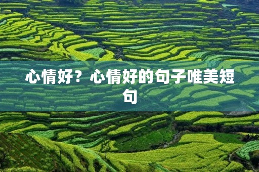 心情好?心情好的句子唯美短句 心情好?心情好的句子唯美短句
