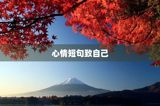 心情短句致自己,心情短句致自己开心的句子 心情短句致自己,心情短句致自己开心的句子