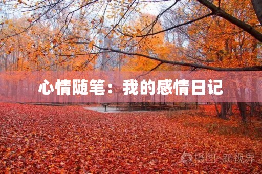 心情随笔:我的感情日记 心情随笔:我的感情日记