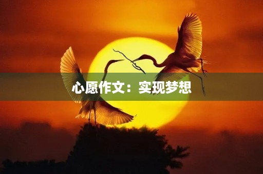 心愿作文：实现梦想，圆满人生
