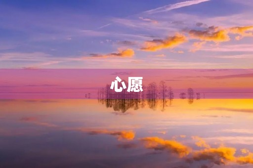 心愿,让梦想照进现实 心愿,让梦想照进现实