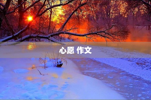 心愿 作文
