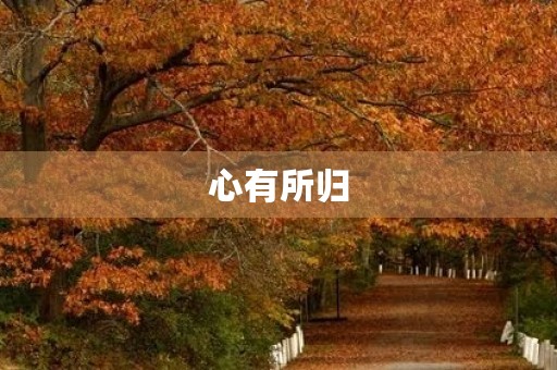 心有所归 心有所归