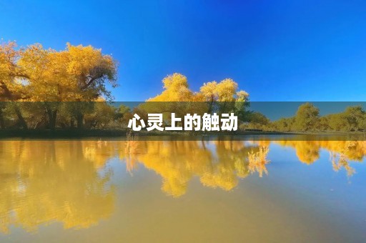 心灵上的触动