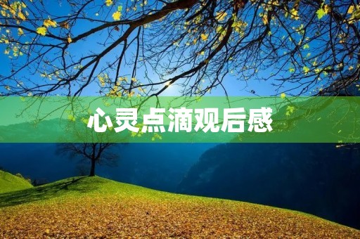 心灵点滴观后感