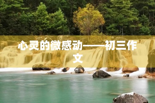 心灵的微感动——初三作文 心灵的微感动——初三作文
