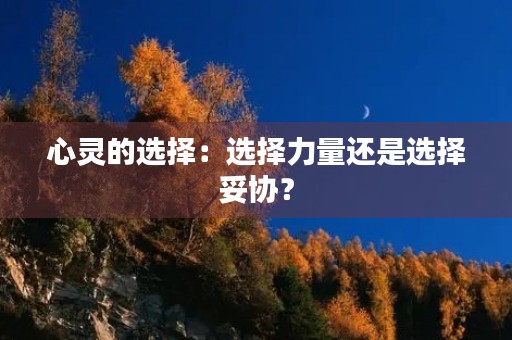 心灵的选择:选择力量还是选择妥协? 心灵的选择:选择力量还是选择妥协?