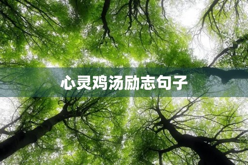 心灵鸡汤励志句子(心灵鸡汤励志句子大全)