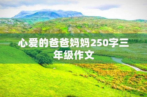 心爱的爸爸妈妈250字三年级作文