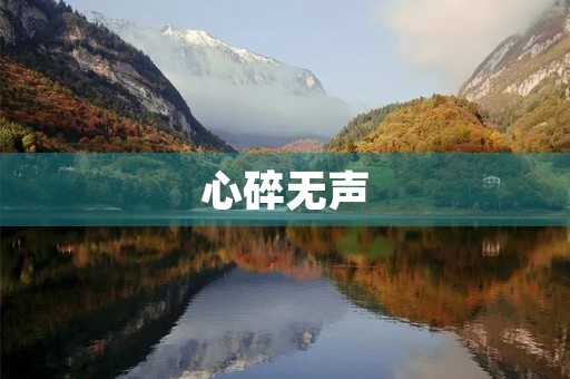 心碎无声，伤心日记