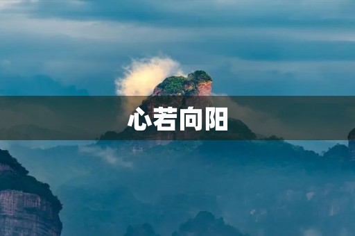 心若向阳，灿烂无比