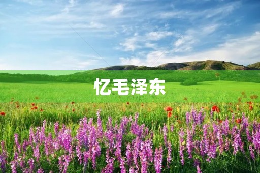 忆毛泽东
