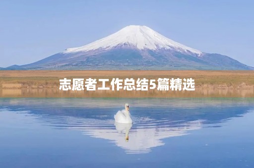 志愿者工作总结5篇精选