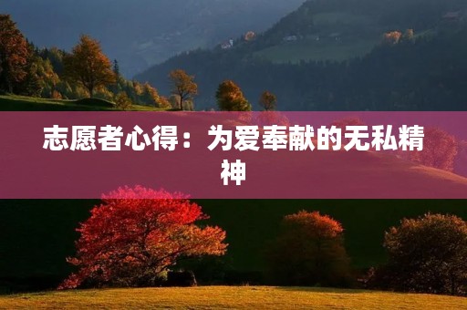 志愿者心得:为爱奉献的无私精神