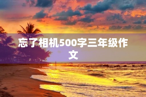 忘了相机500字三年级作文
