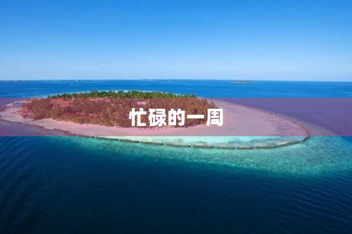 忙碌的一周 忙碌的一周