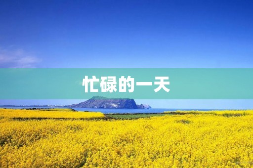忙碌的一天