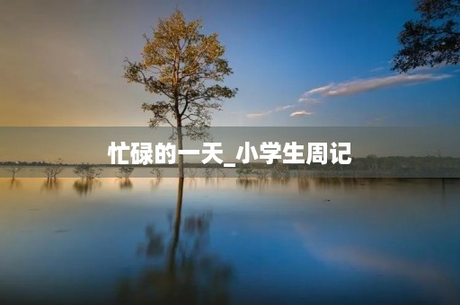 忙碌的一天_小学生周记