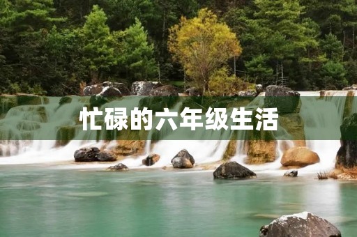 忙碌的六年级生活
