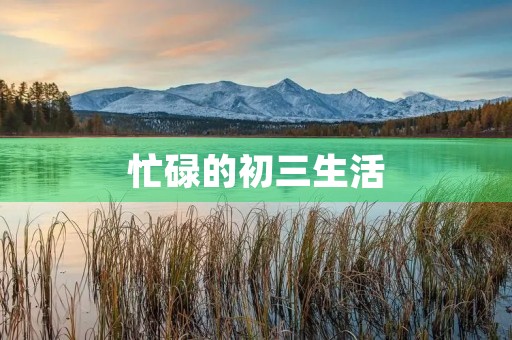 忙碌的初三生活 忙碌的初三生活