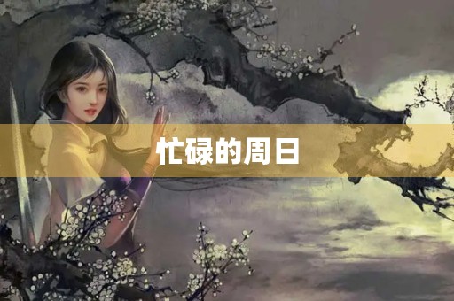 忙碌的周日