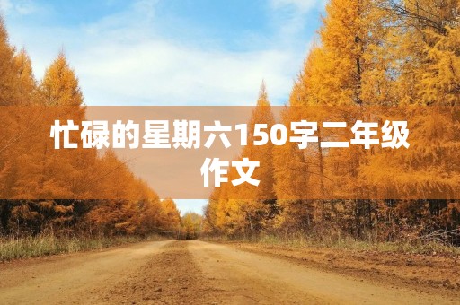 忙碌的星期六150字二年级作文