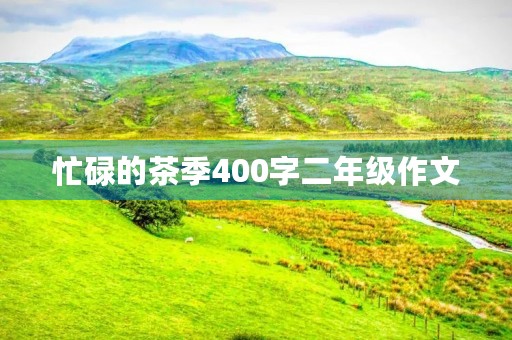 忙碌的茶季400字二年级作文 忙碌的茶季400字二年级作文