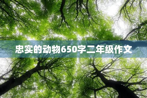 忠实的动物650字二年级作文