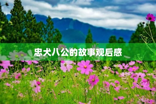 忠犬八公的故事观后感