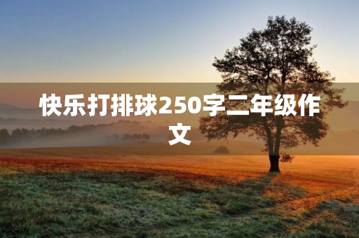 快乐打排球250字二年级作文