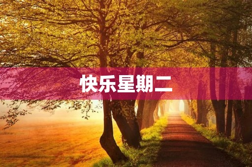 快乐星期二