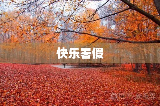 快乐暑假 快乐暑假