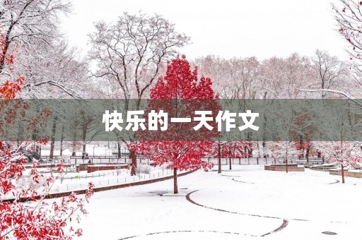 快乐的一天作文