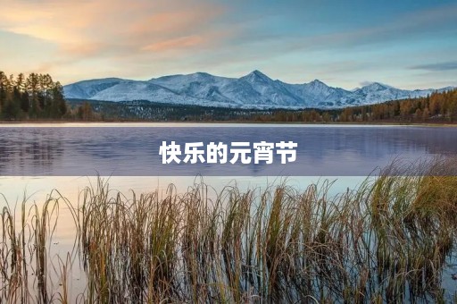 快乐的元宵节 快乐的元宵节
