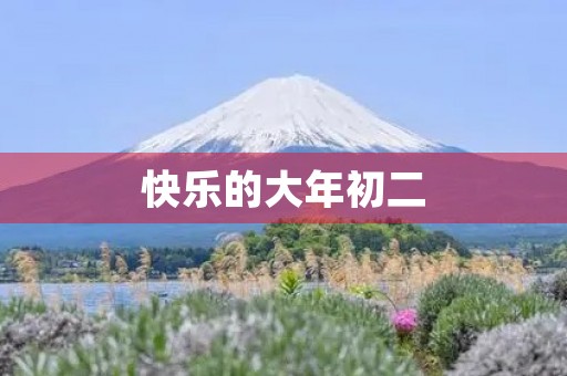 快乐的大年初二 快乐的大年初二