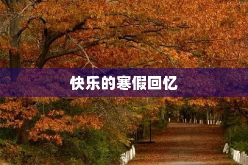 快乐的寒假回忆 快乐的寒假回忆