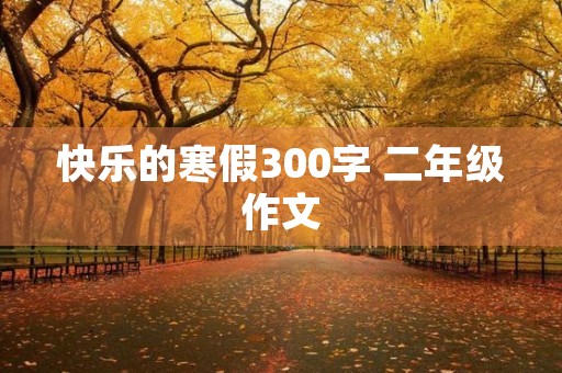 快乐的寒假300字 二年级作文