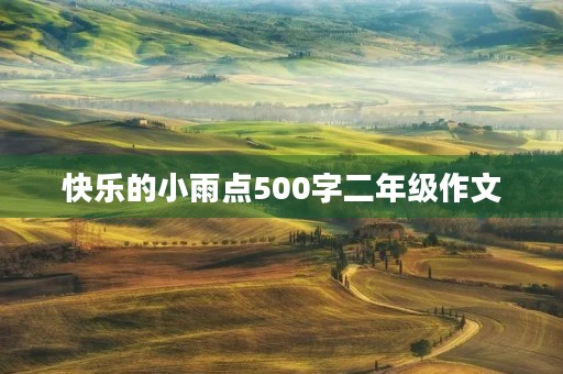 快乐的小雨点500字二年级作文
