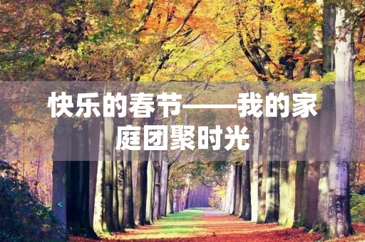 快乐的春节——我的家庭团聚时光