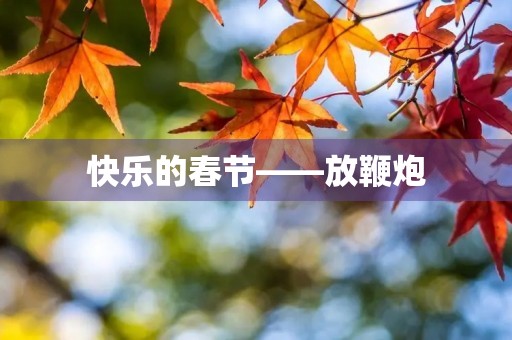 快乐的春节——放鞭炮